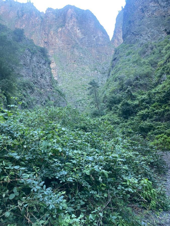 GüimarCasa Rural Aca Y Papa Juan别墅 外观 照片