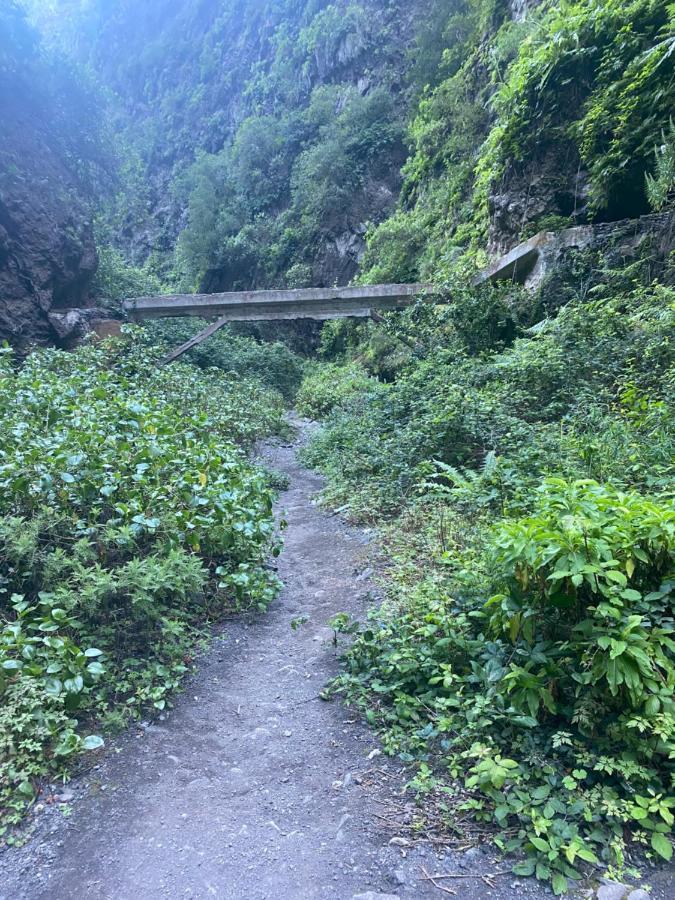 GüimarCasa Rural Aca Y Papa Juan别墅 外观 照片